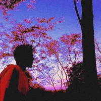 Filme - Single - Noze