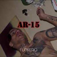 AR-15 - Single - Funkero