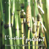 L'instant présent (Musique pour la relaxation et méditation) - Fabrice Tonnellier