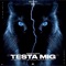 Testa mig (feat. Denz) - Meron lyrics