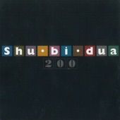 Shu-Bi-Dua 200 artwork