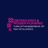 Demian NGO & Roger Punario - Turn Up the Bass