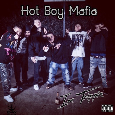I'm Trippin' (feat. Hot Boy Mafia, Dmoney$, Hot Boy Roy & Young SG) - Single