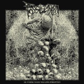 Fossilization - Blight Cathedral