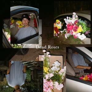 Dead Roses - Single