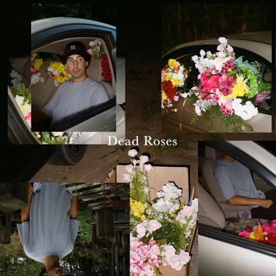 Dead Roses - Single