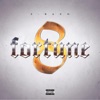 Fortune 8
