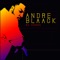 Aye - Andre Blaack lyrics