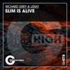 Slim Is Alive cover art