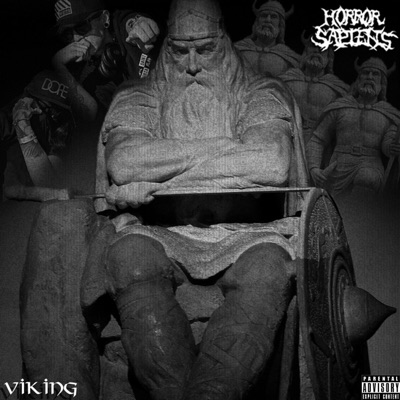 Viking - Single