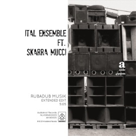 Rubadub Musik (feat. Skarra Mucci) [Audioknot Dubstyle] Ital Ensemble