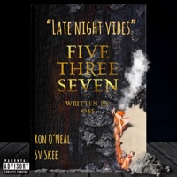 Late Night Vibes - Single - Ron O'Neal & SV Skee