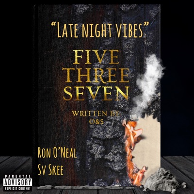 Late Night Vibes - Single