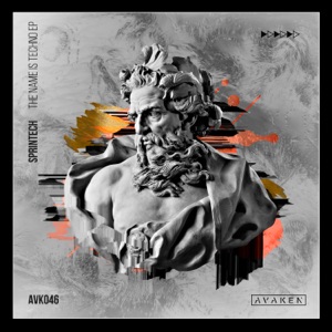 The Name Is Techno - Single