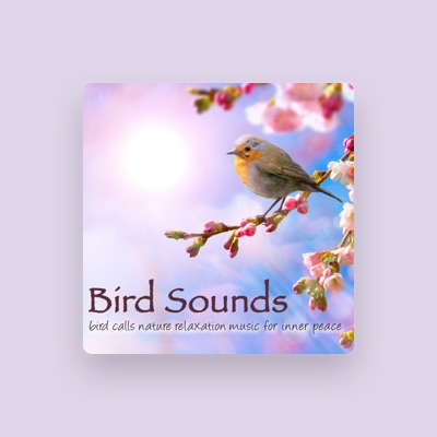 Listen to Bird Songs Nature Music Specialists, watch music videos, read bio, see tour dates & more!