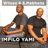 Amashumi - Wilson & S Mabhena