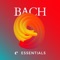 Toccata and Fugue in D Minor, BWV 565 - Klemens Schnorr lyrics