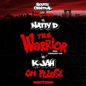 True Warrior (feat. Cheshire Cat) - Single