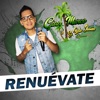 VOLVERTE A VER