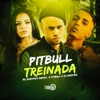 Pitbull Treinada - Single