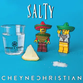 Salty - Single by Cheyne Christian album reviews, ratings, credits