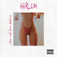 Rose Red Lace Panties - Single - HARLEM