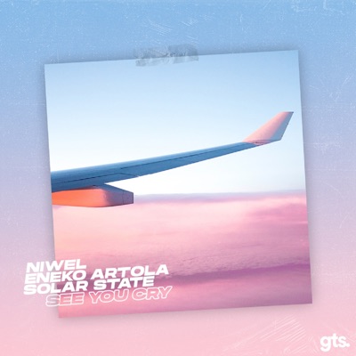 See You Cry - Single