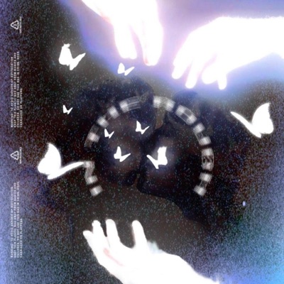 In the Rough - Single