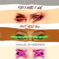 Don't Need You (feat. ADÉ) - Single - Flex Kartel