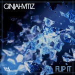 GINJAHVITIZ - Flip It