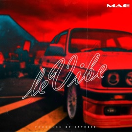 LeVibe (Remastered) Mae