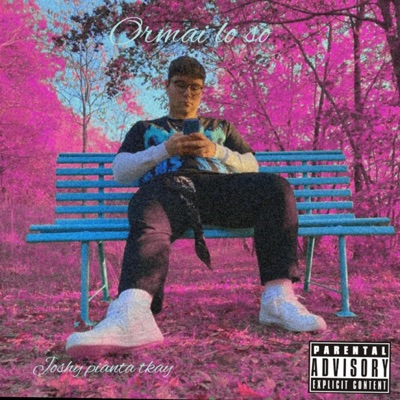 Ormai Lo So (feat. Pianta. & Tkay) - Single