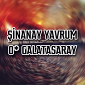 Şinanay Galatasaray artwork