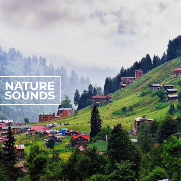 Nature Sounds - EP