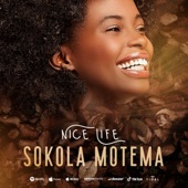 Sokola Motema artwork