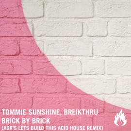 Brick by Brick (ADR's Let's Build This Acid House Remix) Tommie Sunshine, Breikthru & ADR