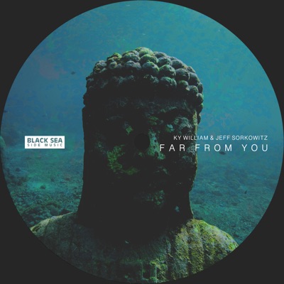 Far From You - Single