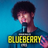 Blueberry Eyes artwork