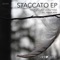 Staccato (Primarie Remix) - Yaroslav Lenzyak lyrics