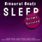 Binaural Beats - Binaural Beats Sleep lyrics