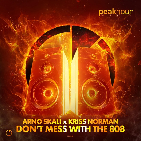 Don't Mess With The 808 - Single