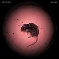 I'm a Rat
