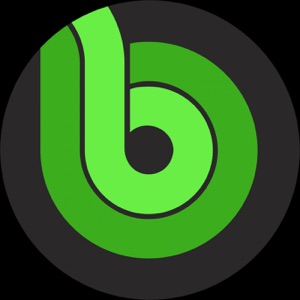 Black Day - Single
