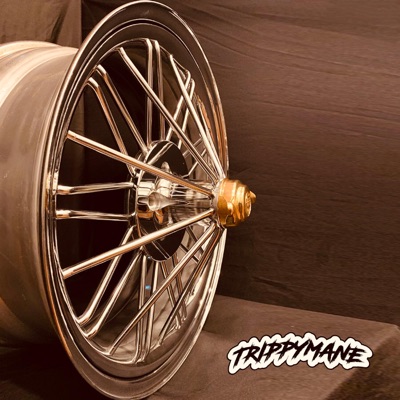 The Originator 1971 - Single