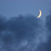 Natural - Single - lednem