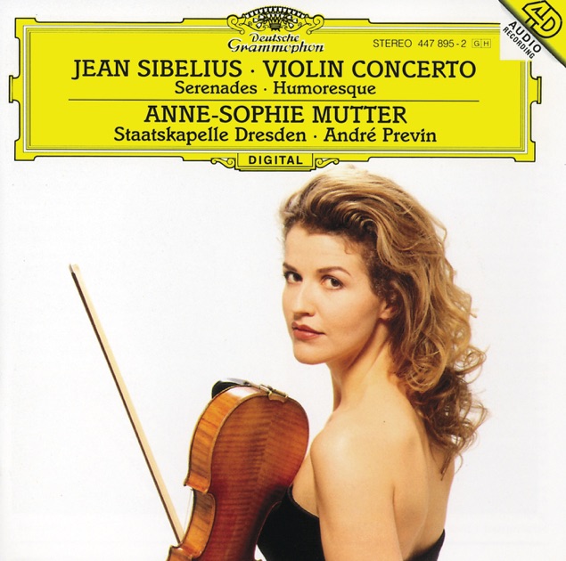 Violin Concerto in D Minor, Op. 47: I. Allegro moderato 