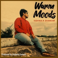 Warm Moods (feat. Sanjeevi Easwar) - Single - VISHWA