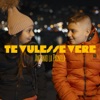 Te vulesse vere - Single