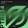 Bridge (Radio Edit) - Single