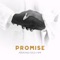 Promise - Adekunle Gold & Simi lyrics